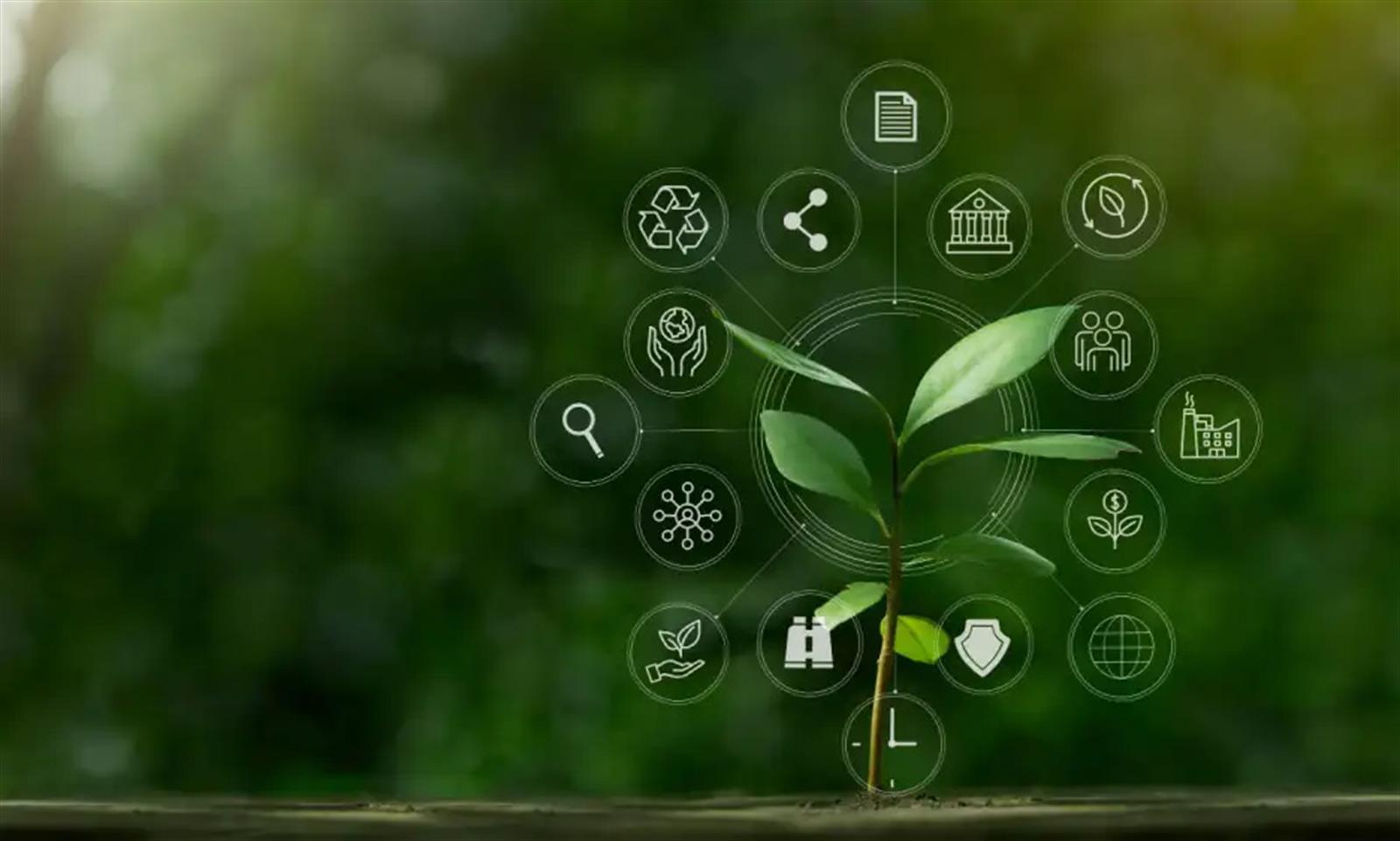baerkreaft-i-virosafe-3